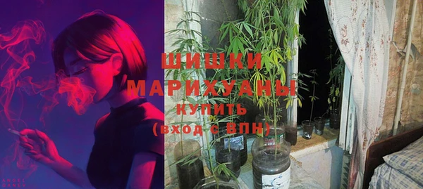 apvp Алзамай