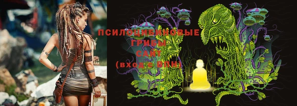 a pvp Алексеевка