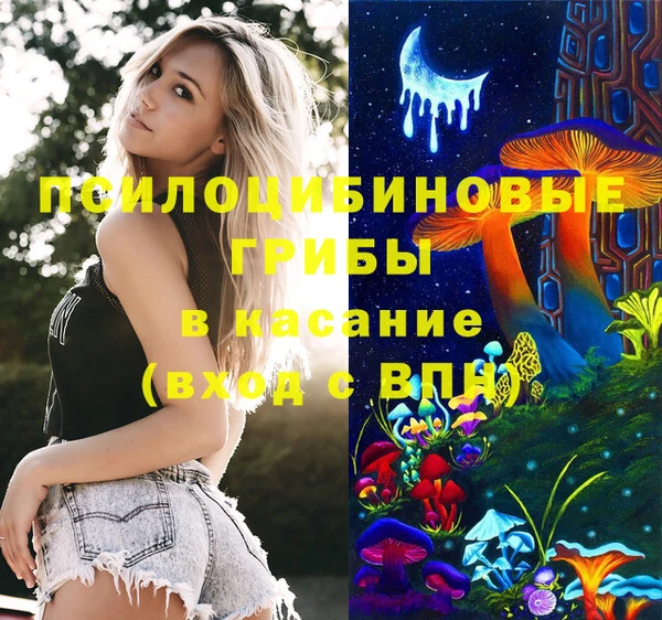 apvp Алзамай