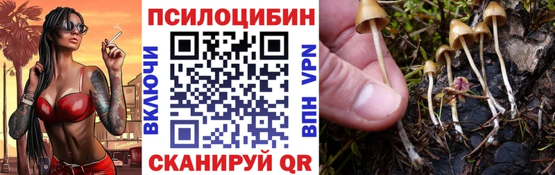 что такое   Лагань  блэк спрут зеркало  Псилоцибиновые грибы мицелий 